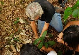 Equipe trabalhando na natureza